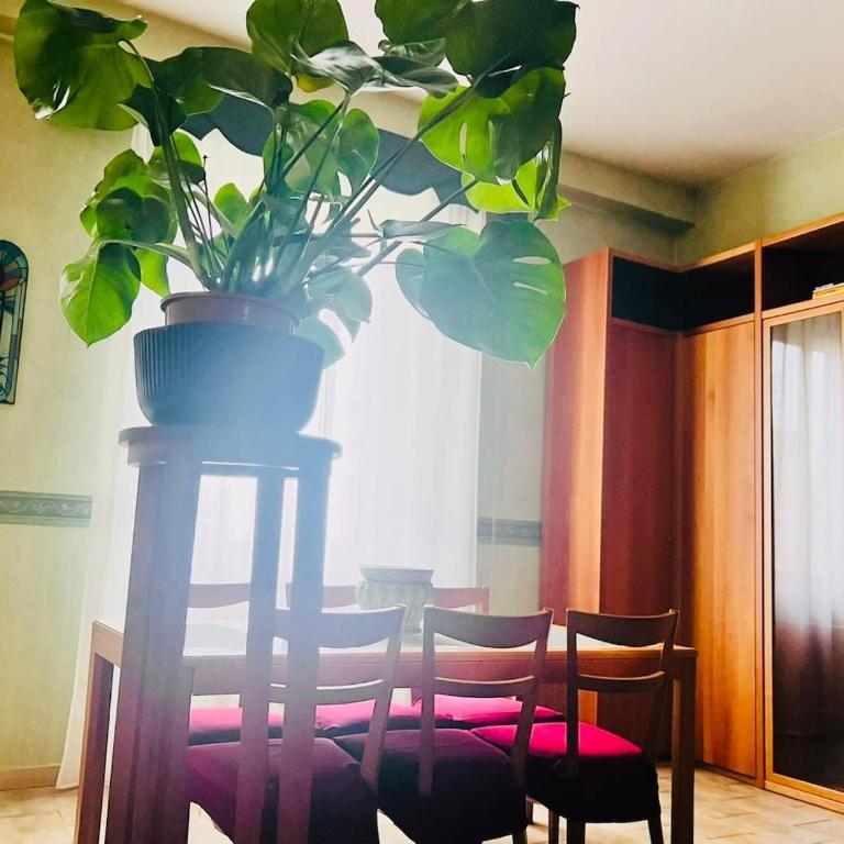 Your house in Rome - 10 minutes from Colosseo! - Appartamento con 3 Camere da Letto - 13
