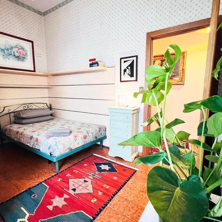 Your house in Rome - 10 minutes from Colosseo! - Appartamento con 3 Camere da Letto - 41