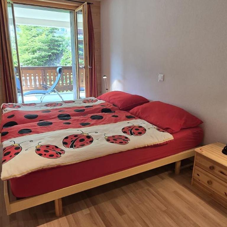 Moilles 15 - Apartamento de 3 dormitorios - 21