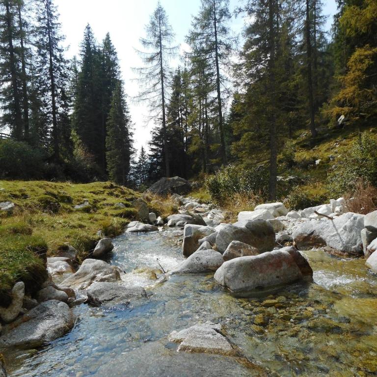 Mountain Escape Apartment Easy Access & Private Parking - Four-Bedroom Apartment - 6