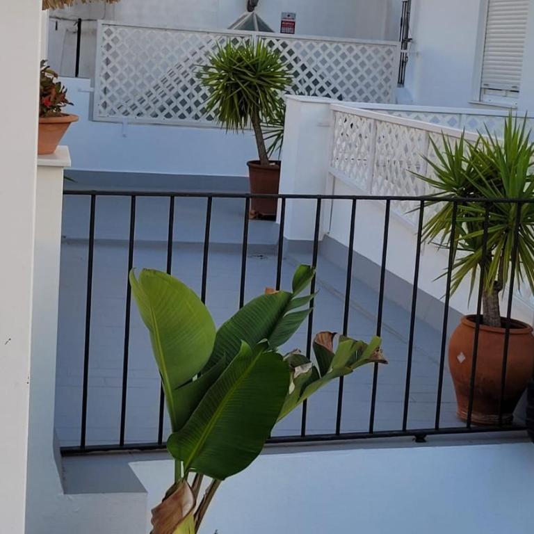 CAPILLITA XXI APARTAMENTOS - Estudio con terraza - 18