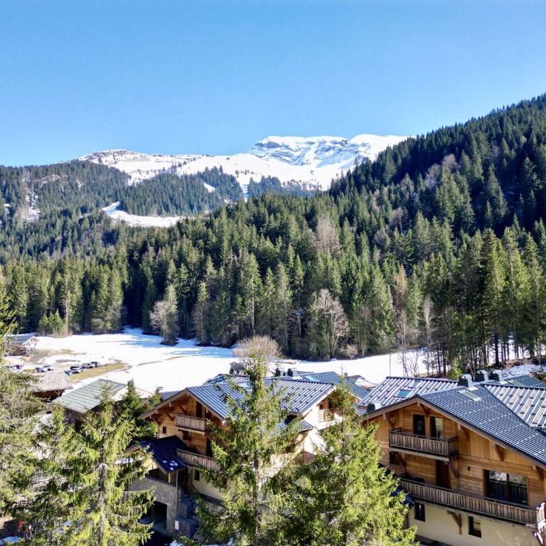 Appartement 8 personnes au pied d'Avoriaz 3 chambres Ascension Immobilier - Appartement 3 Chambres avec Balcon - 16