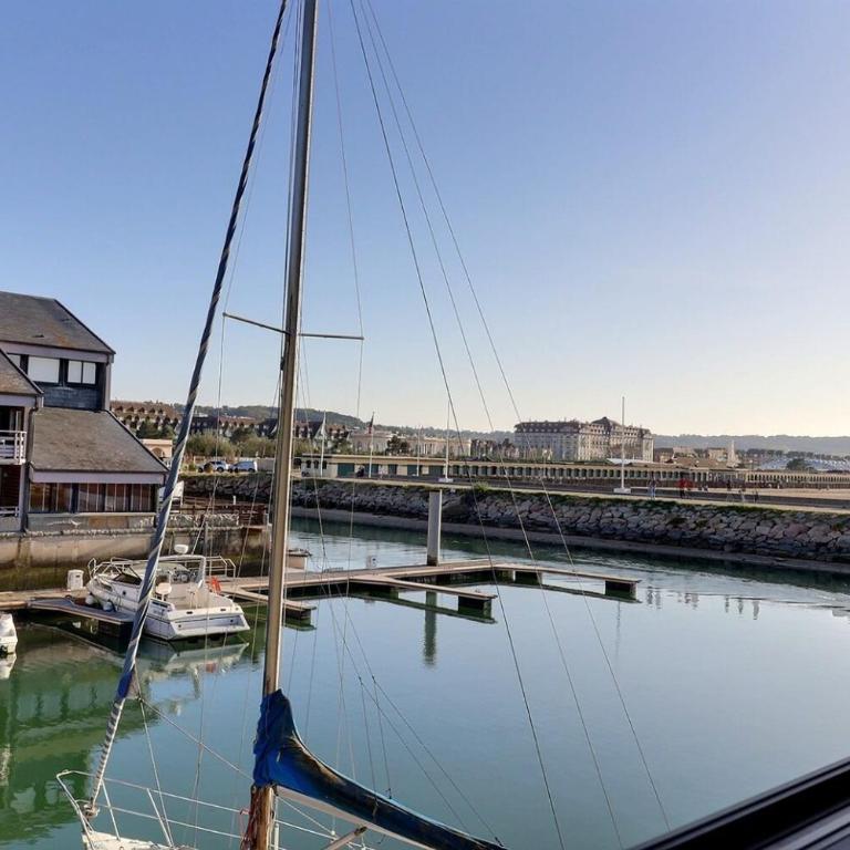 Sublime apartment facing the Port & Planches - Appartement - 7