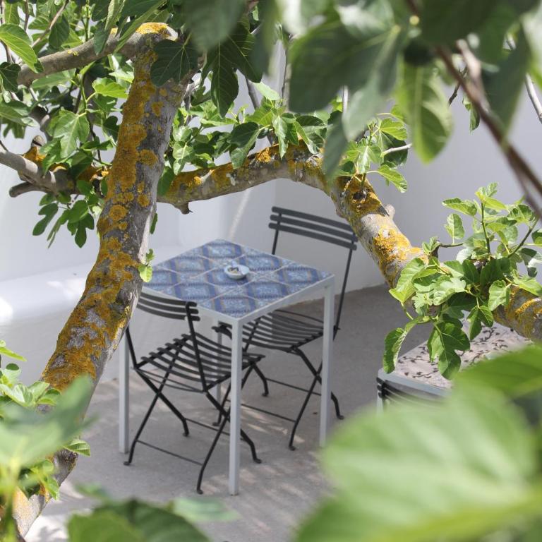 Hotel Intorno Al Fico - Camera Matrimoniale con Vista Giardino - 18