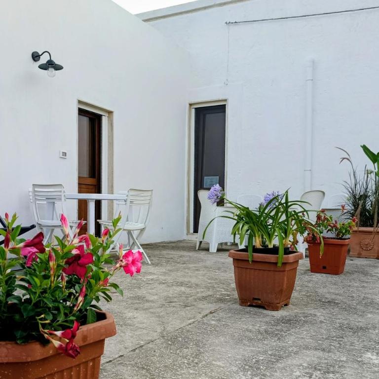 Tenuta Mavilio - Casa Vacanze - 7