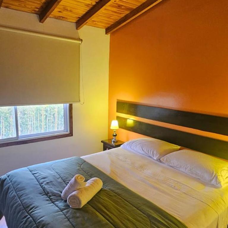 Senador Dupont - Posada Central & Casa Entera - Habitación Doble Estándar - 7