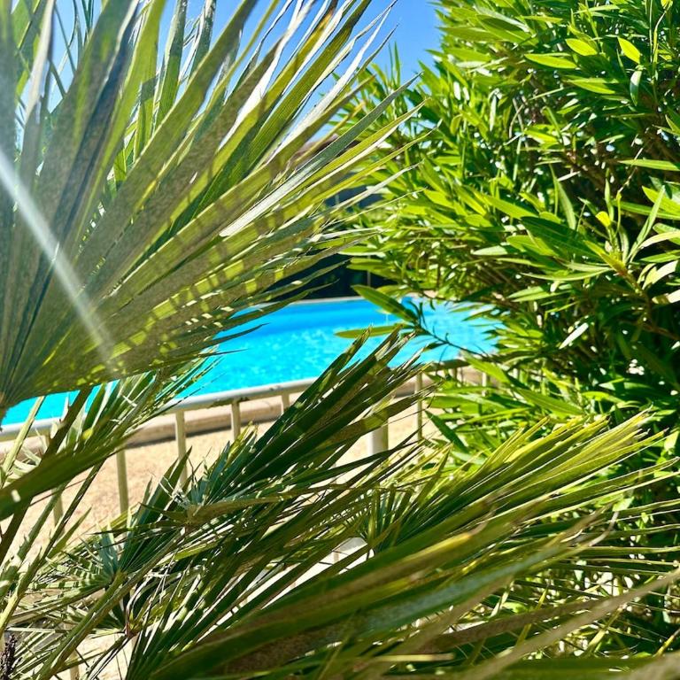 Villa Amandiers - Three-Bedroom Villa - 22