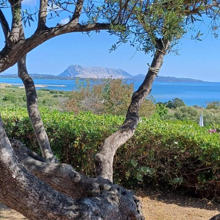 Villa Maria Antonietta San Teodoro - Sardegna - Haus mit 2 Schlafzimmern - 3