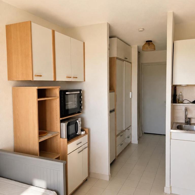 Studio meublé tourisme 2 étoiles, calme, vue étang, climatisé et parking - Appartement 2 Chambres - 4