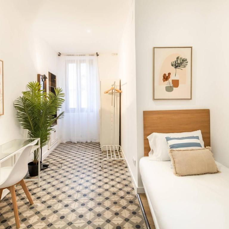 22ARA1105 - 3BR flat in the City Center - Appartamento - 12