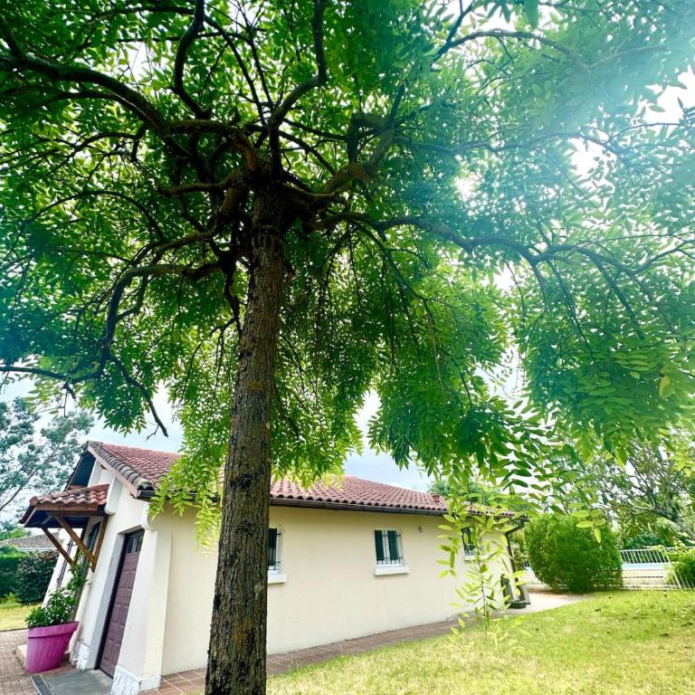 Villa Amandiers - Three-Bedroom Villa - 21