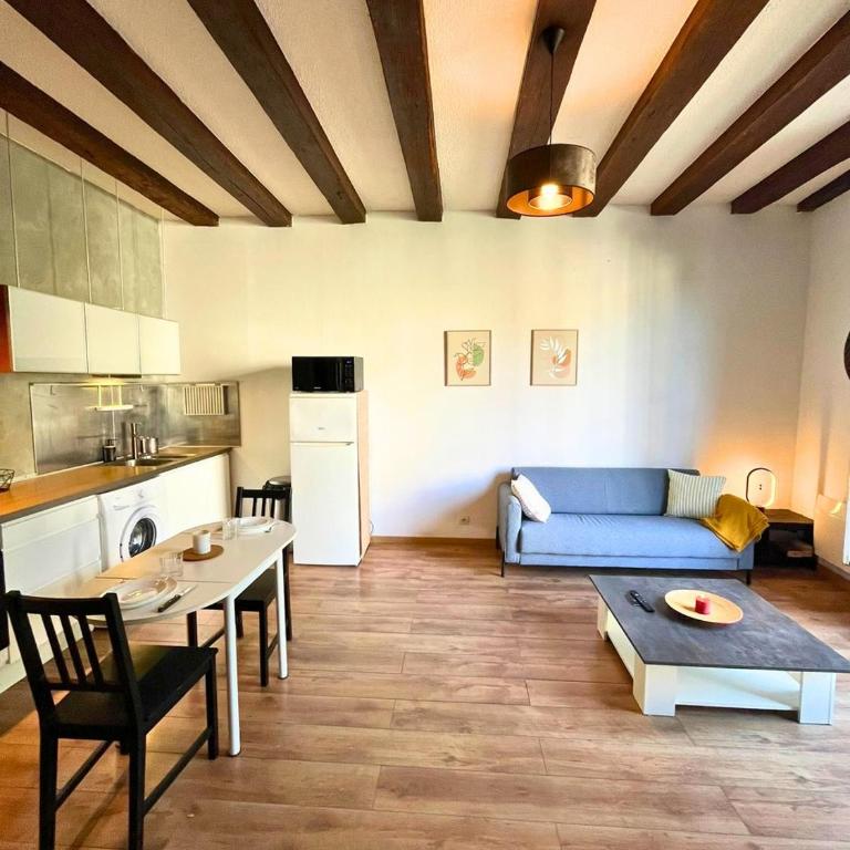 Grand T2 Tours hypercentre - Place du Monstre - Appartement - Vue sur Ville - 7