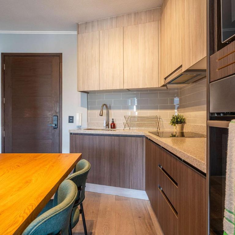 HOM I Wifi BarrioItalia Parking I Smartv Providencia I FB 1 0 3 - Apartment - 8