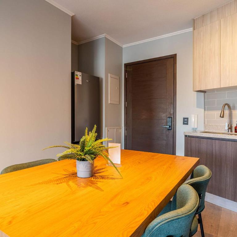 HOM I Wifi BarrioItalia Parking I Smartv Providencia I FB 1 0 3 - Apartment - 11