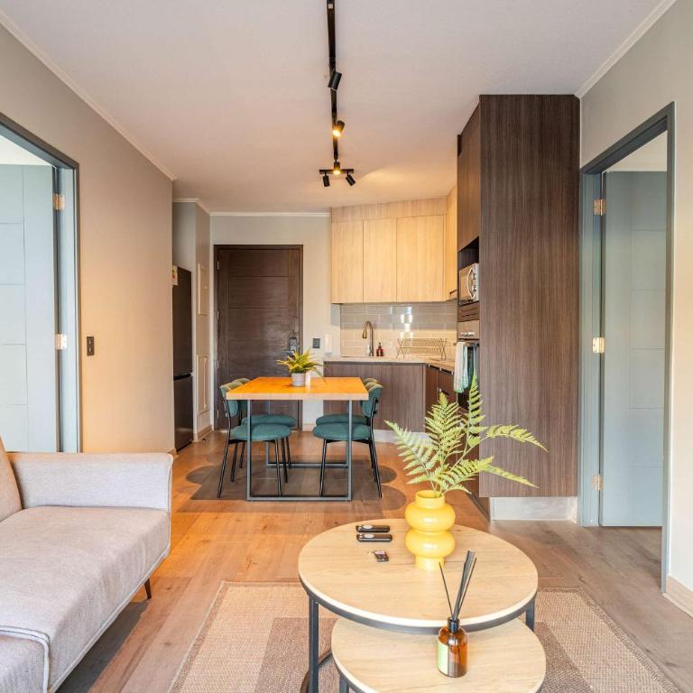 HOM I Wifi BarrioItalia Parking I Smartv Providencia I FB 1 0 3 - Apartment - 16
