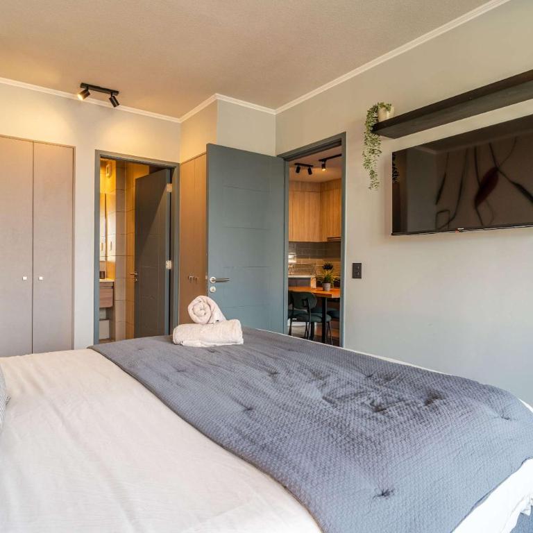 HOM I Wifi BarrioItalia Parking I Smartv Providencia I FB 1 0 3 - Apartment - 21