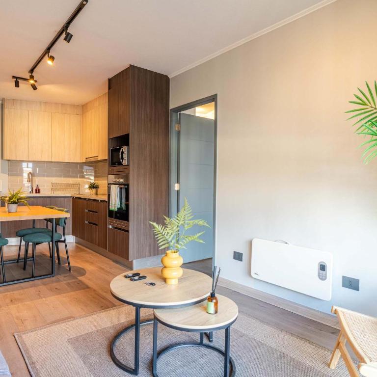 HOM I Wifi BarrioItalia Parking I Smartv Providencia I FB 1 0 3 - Apartment - 17