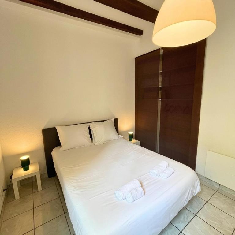 Grand T2 Tours hypercentre - Place du Monstre - Appartement - Vue sur Ville - 4