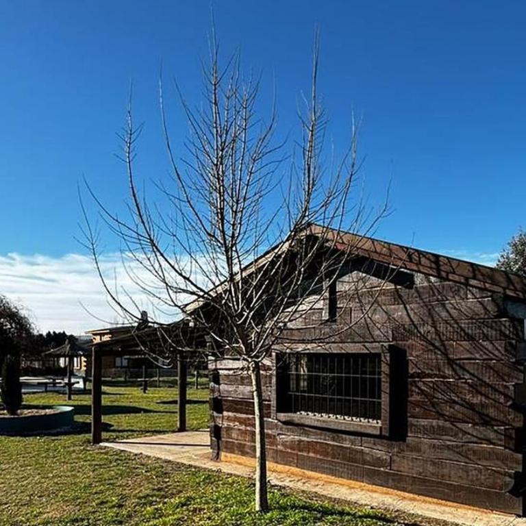 Cabin for 8, 500m from Lago Los Molinos - Casa de 2 dormitorios - 11