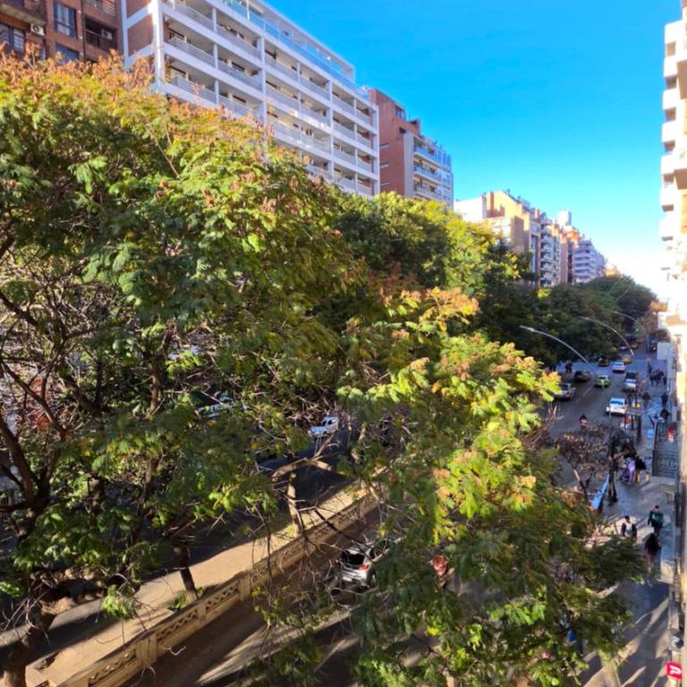 Dpto Illia 218 - 1 dormitorio a mts del Patio Olmos - Apartamento de 1 dormitorio - 10