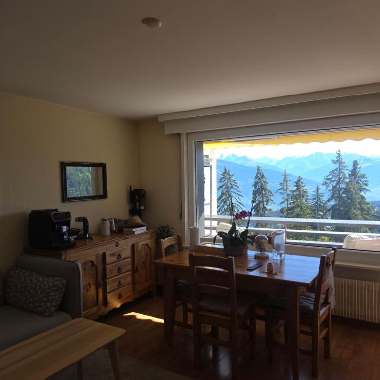 Residence Cransalpin - Appartement 1 Chambre - 4