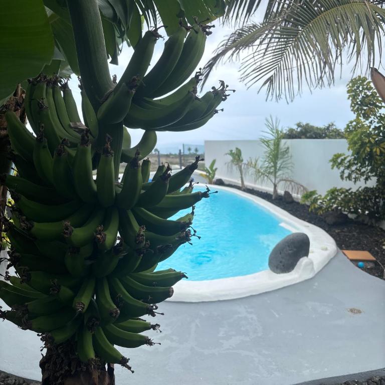 Tagoro Sunset View & Heated Pool Tenerife - Casa de 2 dormitorios - 40
