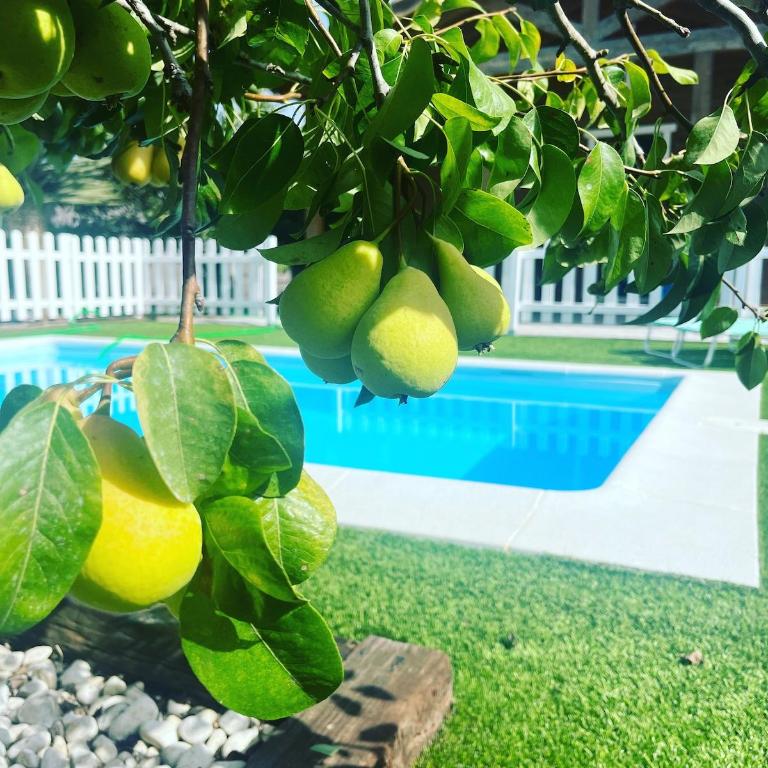Casa El Peral con piscina privada en Conil - Casa de 3 dormitorios - 19