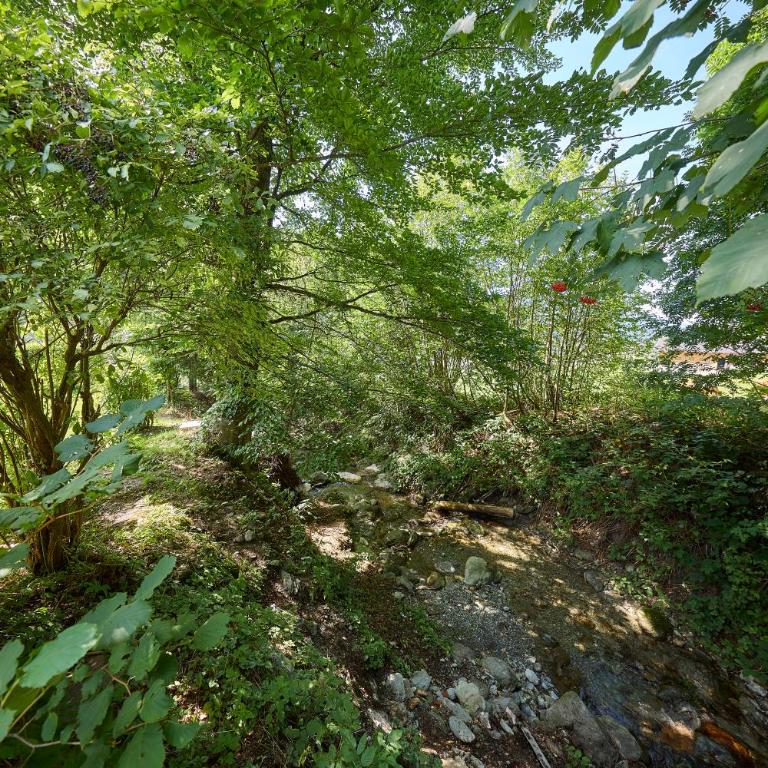 Haus Eberl - Apartments - Four-Bedroom Apartment - 59