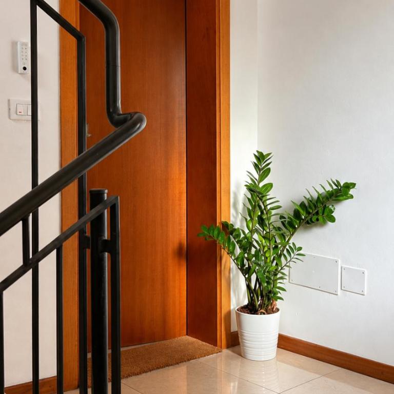 Enzo's Venice Home - Art, Relax & Parking - Appartamento con 1 Camera da Letto - 17