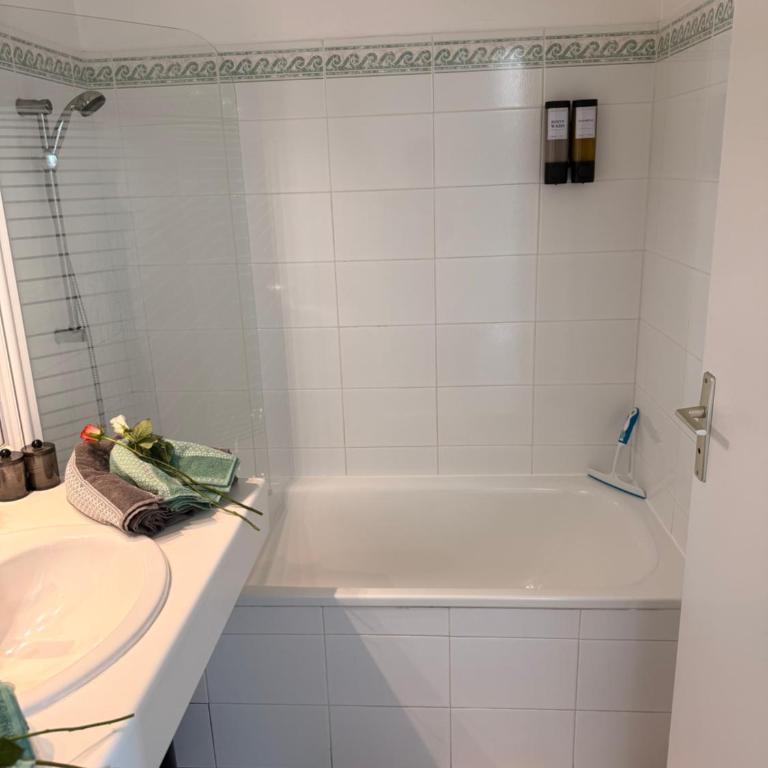 Joelle & Marc Nice 2 bedrooms apartment, near beach, AC, parking lot - Appartement 1 Chambre - 21