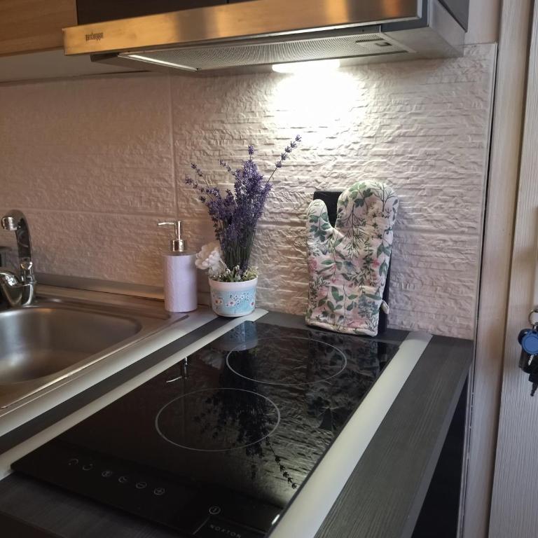 Apartman Perusic - Apartment mit 1 Schlafzimmer - 13