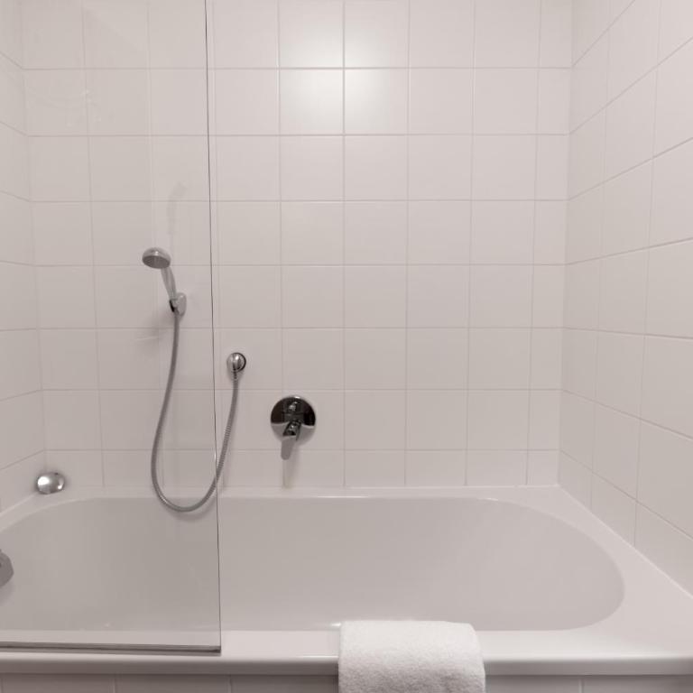 Modern Mountain Apart 2 - directly by Skiing area - Apartment - 22