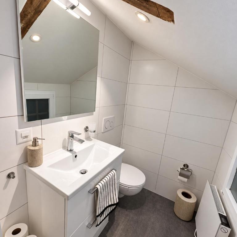 Old community center 200 m from the Riederalp gondola - Apartment mit 2 Schlafzimmern - 4