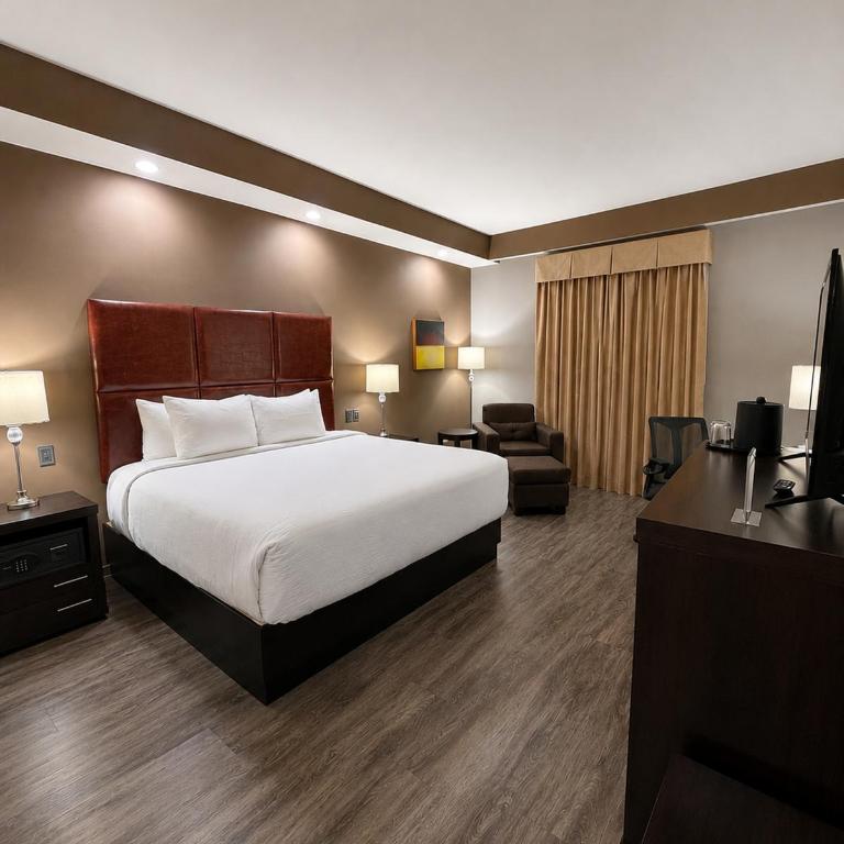 Best Western PLUS Monterrey Airport - Habitación - 1 cama extragrande - No fumadores - 9