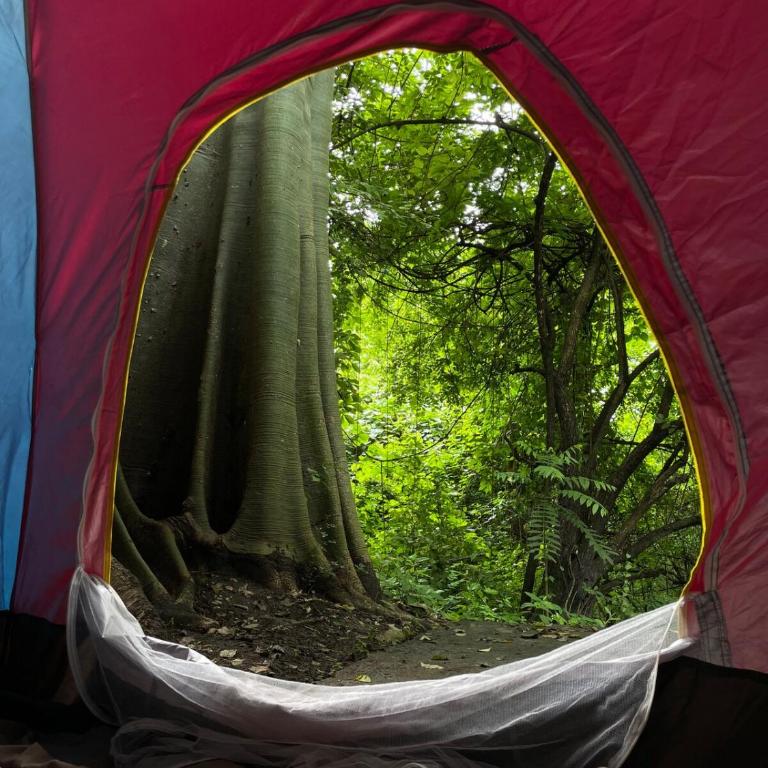 La cabaña - Apartamento de 1 dormitorio - 2