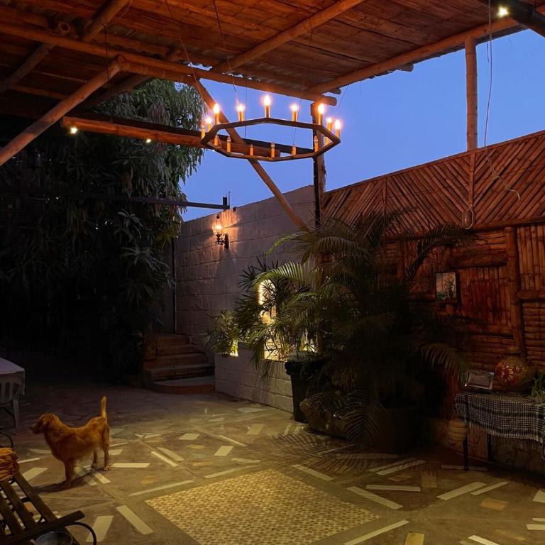 La cabaña - Apartamento de 1 dormitorio - 16