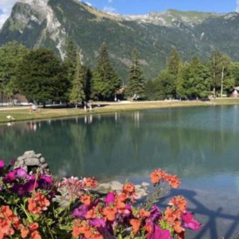 Appartement confortable - 4 pers. - FR-1-846-58 - Studio - 17