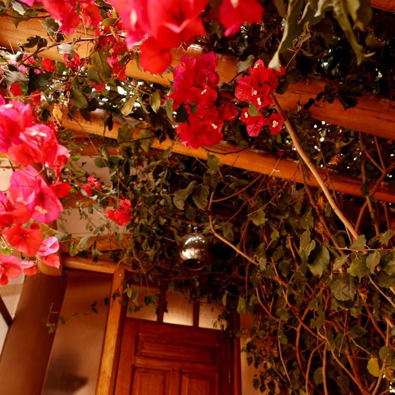 Arins House - One-Bedroom Villa - 45