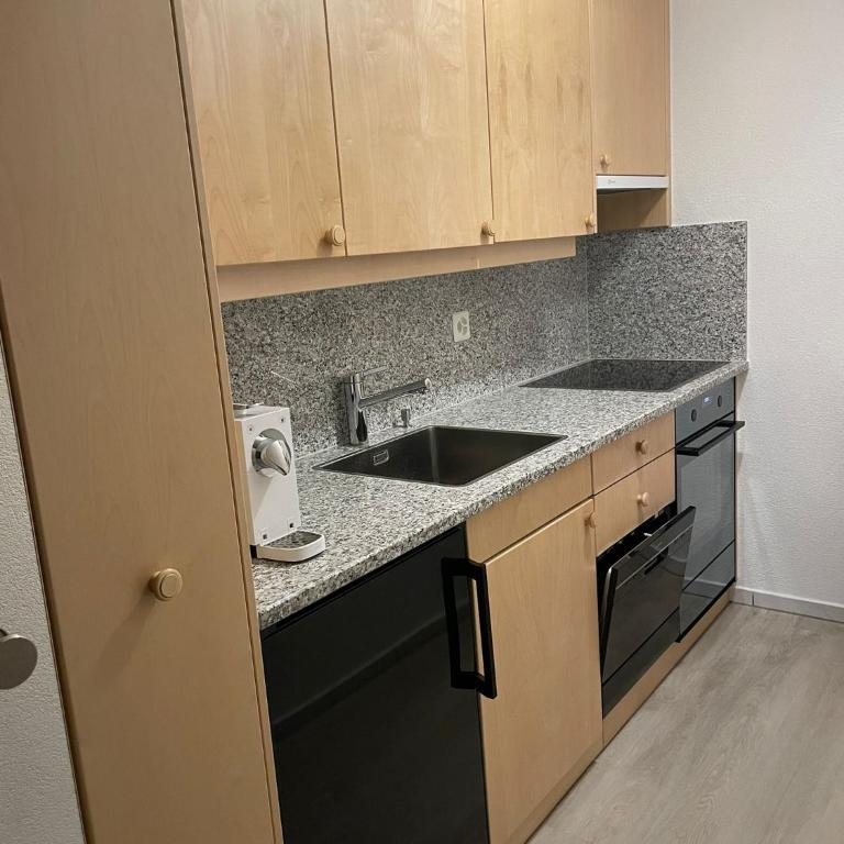 Apartment Balma 3 rooms near Gondelbahn - Apartment mit 2 Schlafzimmern - 11