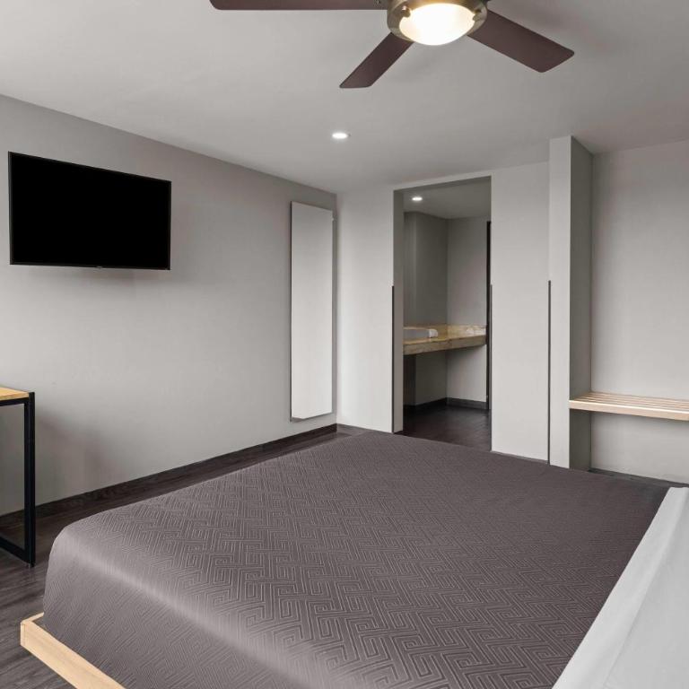 Hotel MX lagunilla CDMX, Trademark Collection by Wyndham - Habitación Estándar - 1 cama grande - No fumadores - 3