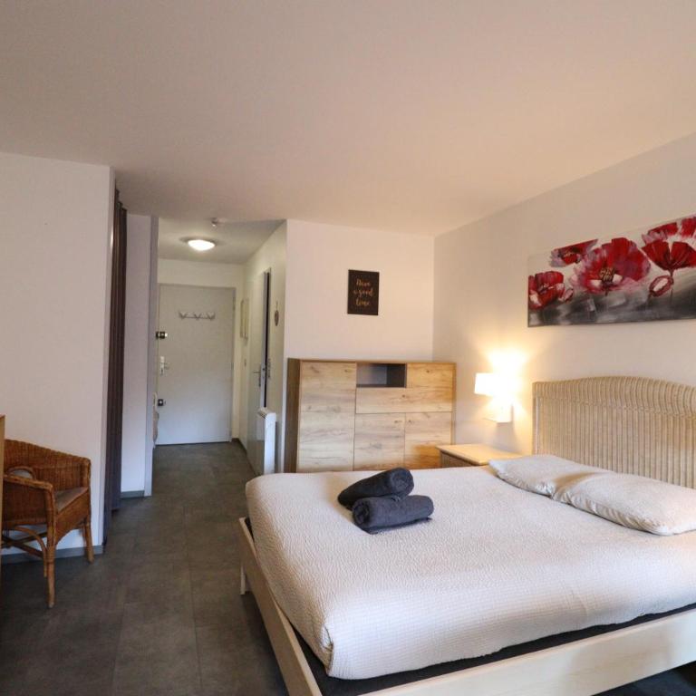 Appartement Belle étoile - Cure, ski & spa - Studio - Vue sur Montagne - 1