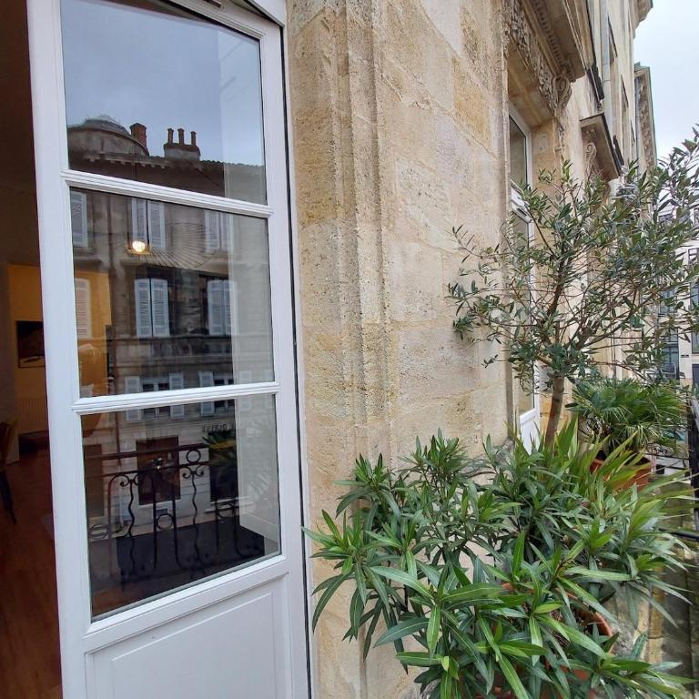 Magnifique Apt centre historique - Appartement - 3