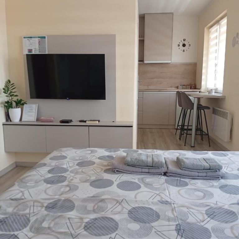 Apartman Slađa - One-Bedroom Apartment - 4