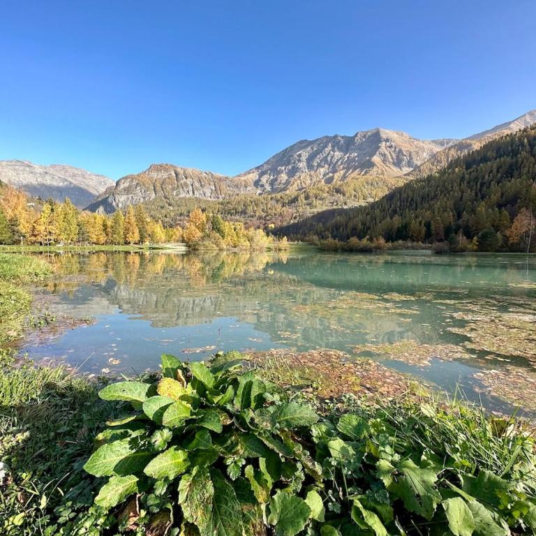 T3 duplex, Orcières Merlette station with garage - Apartment mit 1 Schlafzimmer - 29