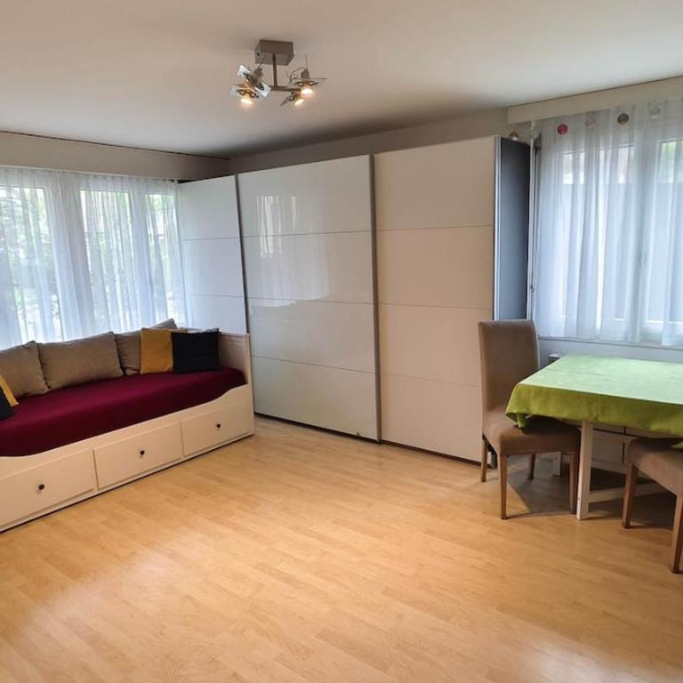 Heimelige Wohnung in Engelberg - One-Bedroom Apartment with Terrace - 1