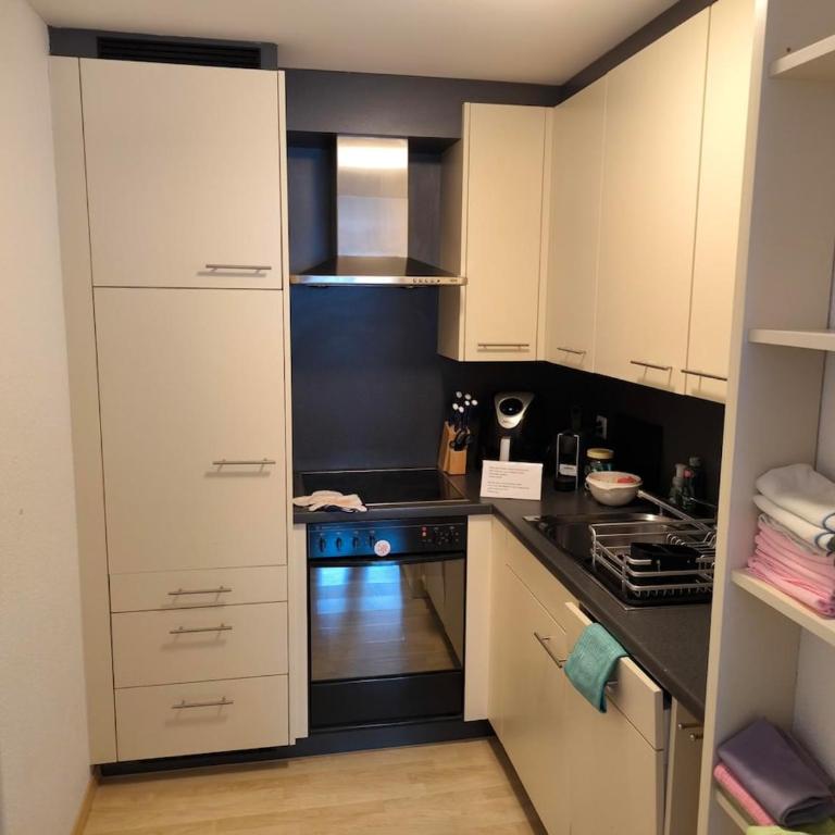 Heimelige Wohnung in Engelberg - One-Bedroom Apartment with Terrace - 16