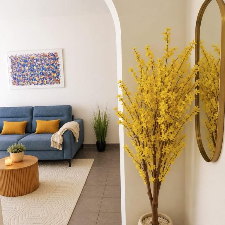of Cannes - Appartement 1 Chambre - 2