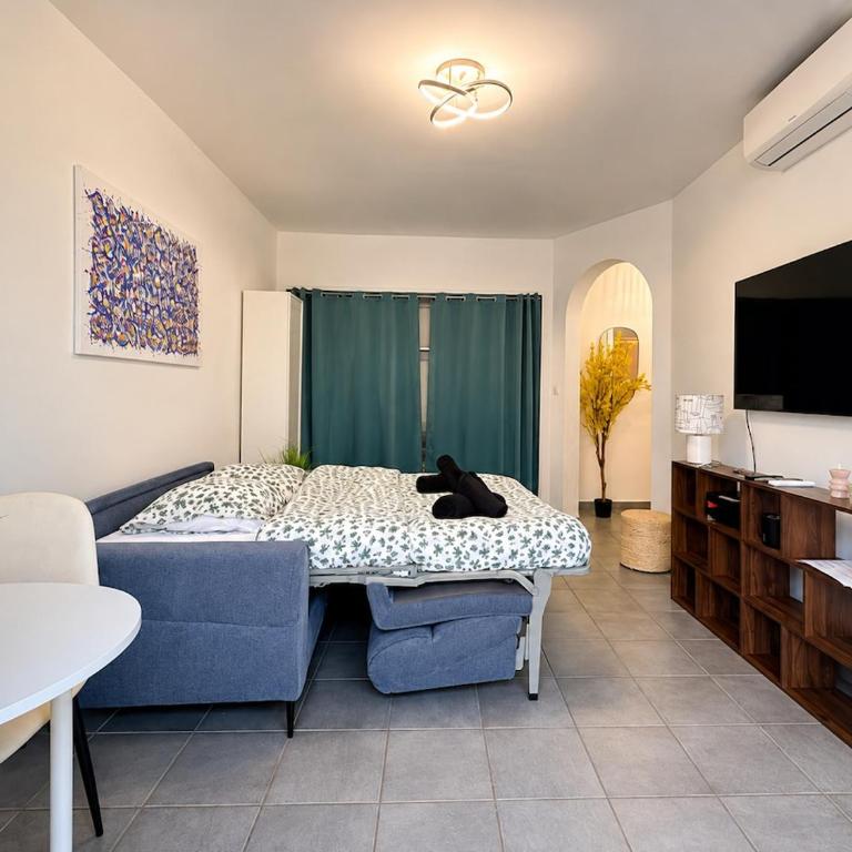 of Cannes - Appartement 1 Chambre - 5