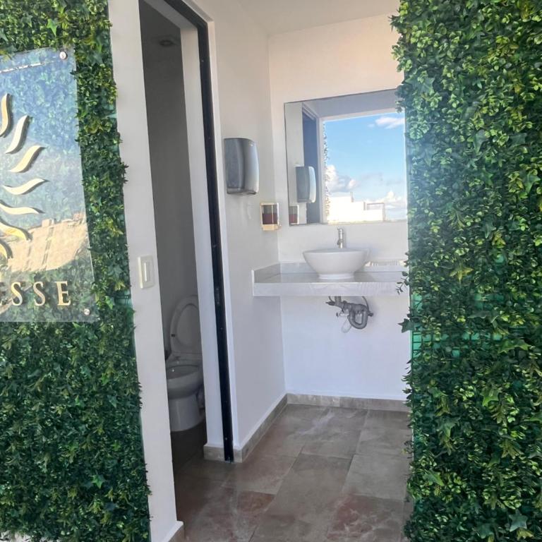Suite de lujo - Apartment mit Balkon - 10