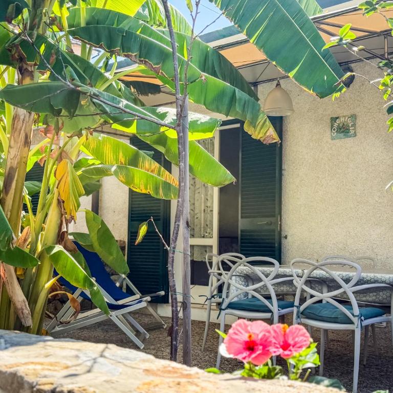 Appartamenti Biodola Mare - HelloElba - Appartement 2 Chambres - 13